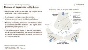 The role of dopamine in the brain