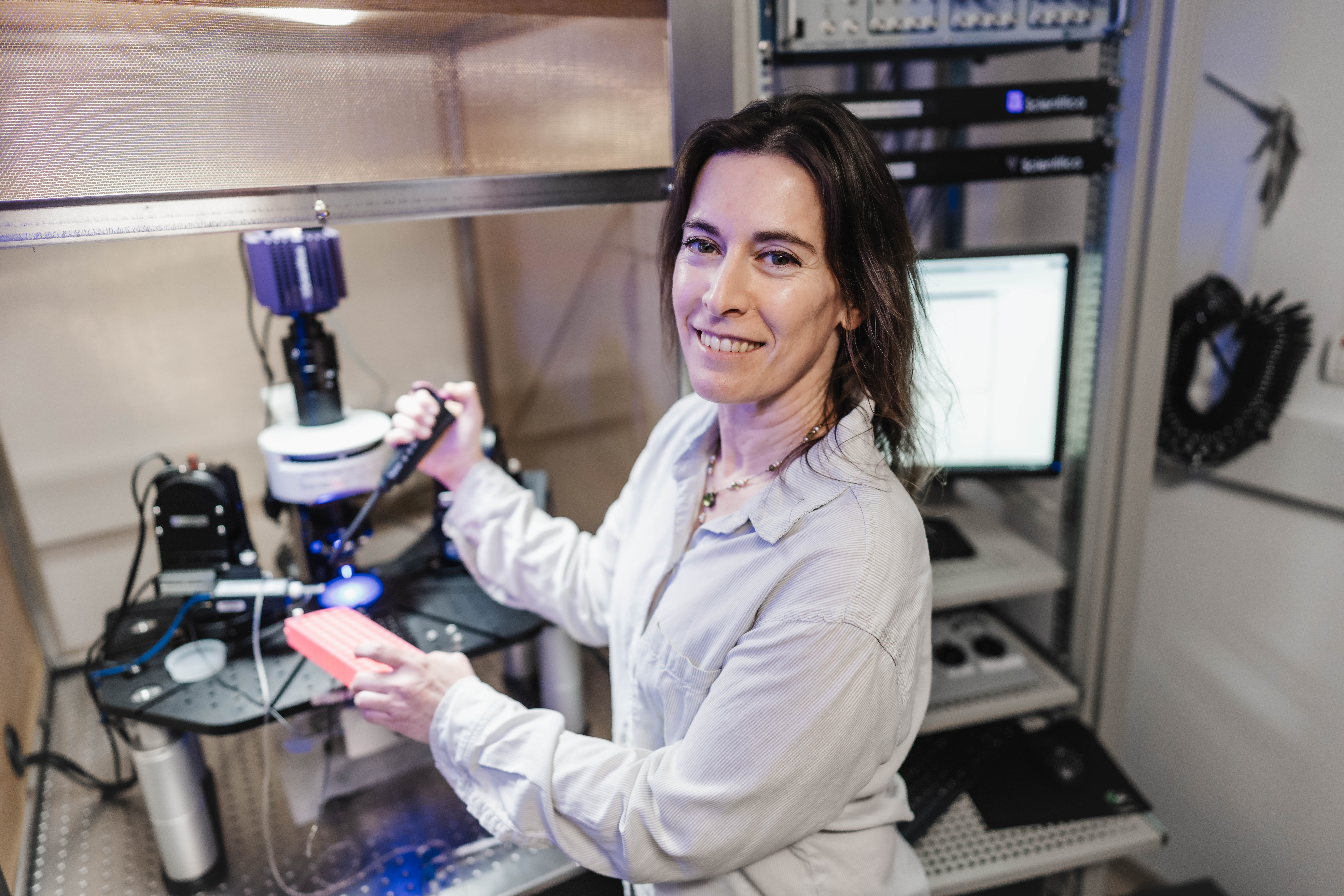 Professor Shani Stern, Ph.D.