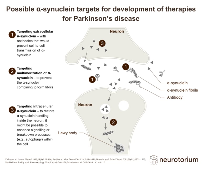 Graphic showing extracellular, multimerization, and intracellular targets of alpha-synuclein for therapeutic intervention in Parkinson’s disease