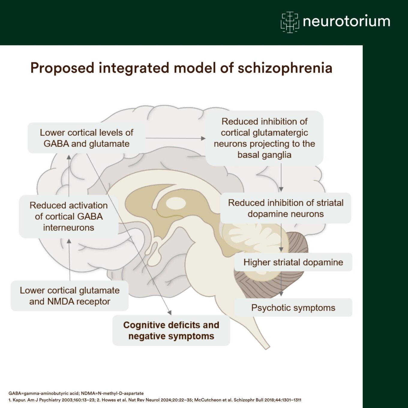 Diagram illustrating how glutamate, GABA, and dopamine dysregulation contribute to cognitive deficits, negative symptoms, and psychosis in schizophrenia