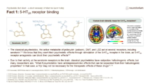 Fact 1: 5-HT2A receptor binding
