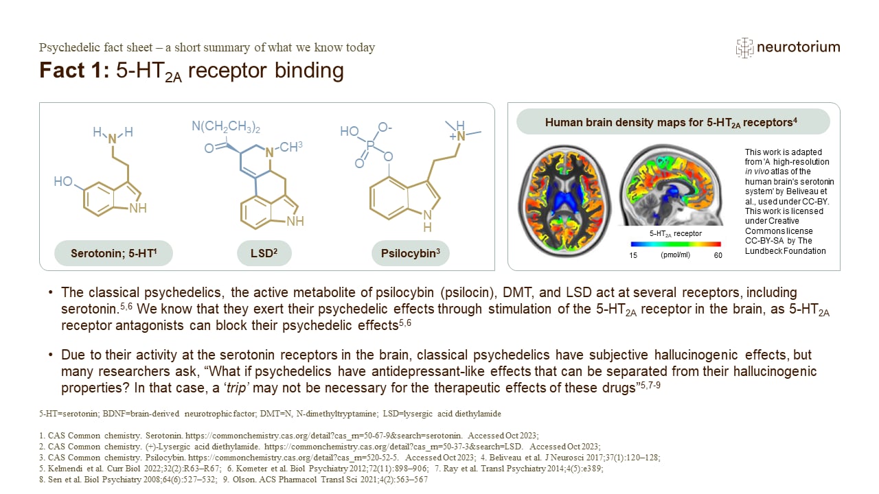 Fact 1: 5-HT2A receptor binding