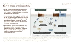 Fact 3: Impact on neuroplasticity