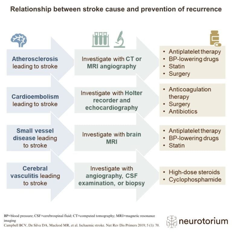 The key to preventing the recurrence of stroke is to identify the precipitating cause(s).