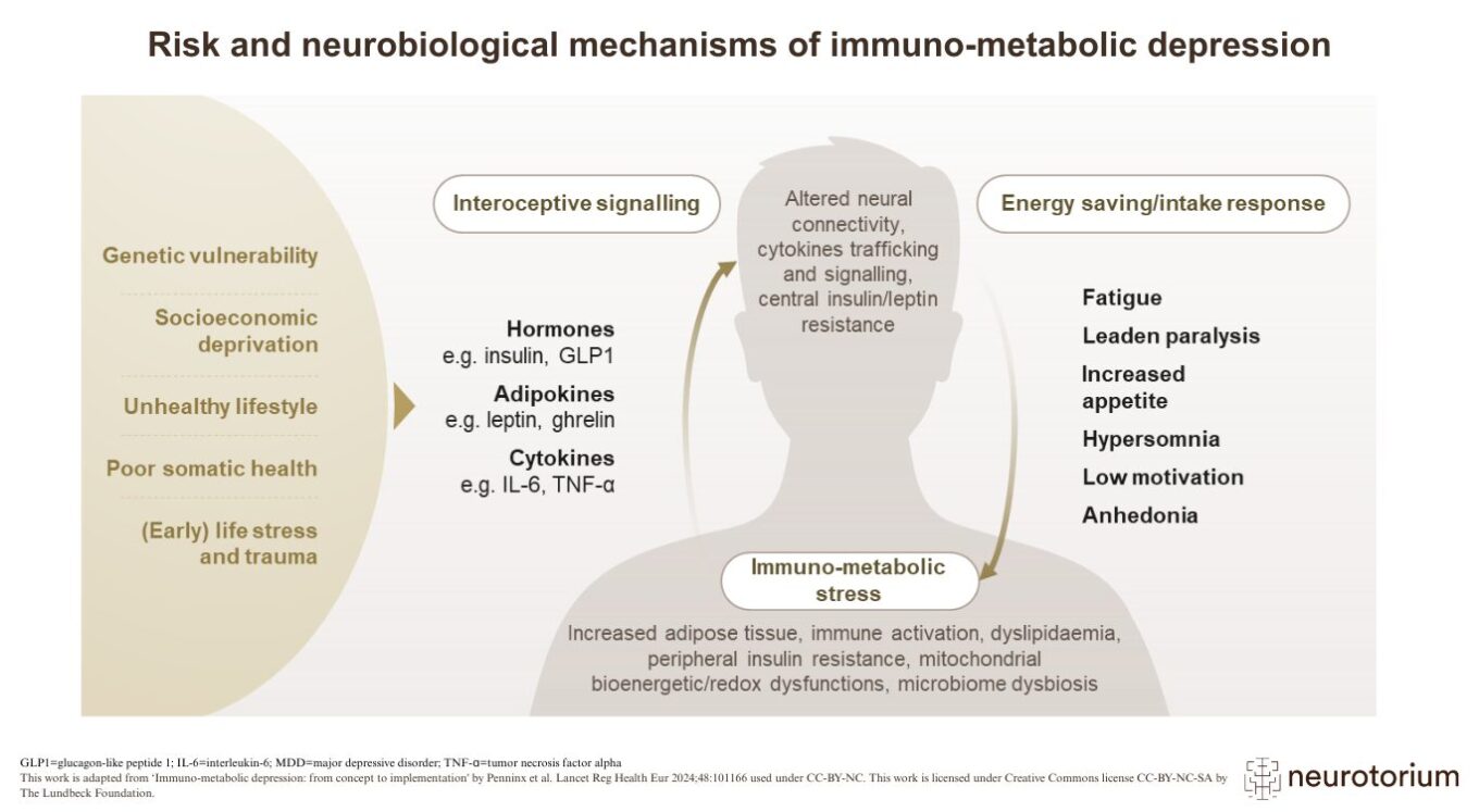Diagram linking lifestyle, stress, and metabolic factors to altered brain signaling and symptoms like fatigue and anhedonia in immuno-metabolic depression.