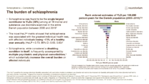 Slide showing the burden of schizophrenia
