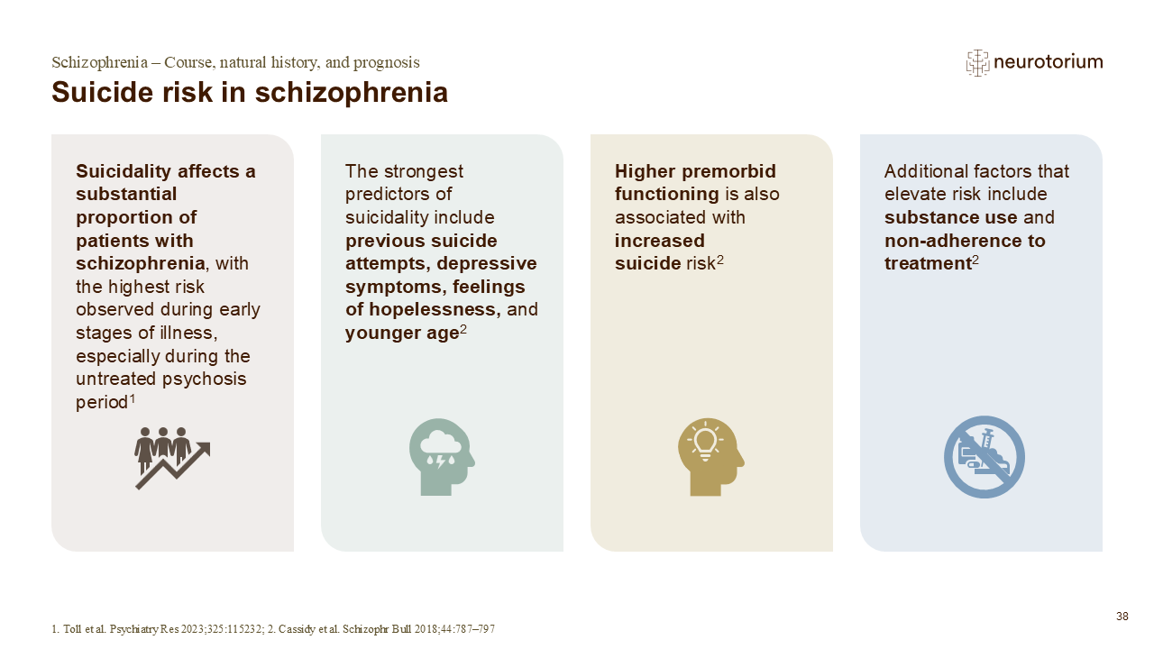 Slide outlining key suicide risk factors and predictors in schizophrenia