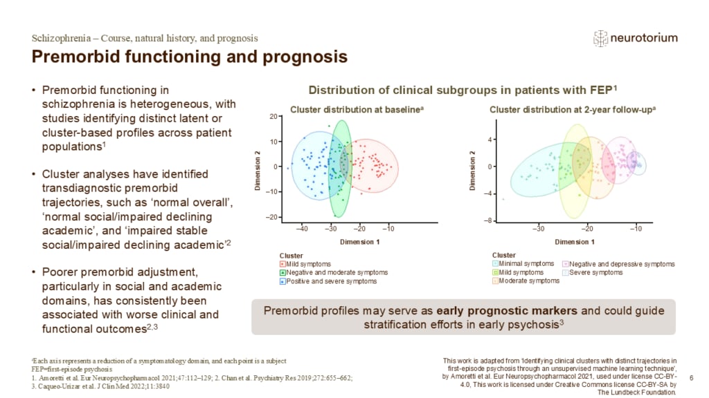 Slide on premorbid functioning and prognosis in schizophrenia, showing distinct patient subgroups at baseline and follow-up
