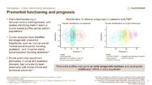 Slide on premorbid functioning and prognosis in schizophrenia, showing distinct patient subgroups at baseline and follow-up