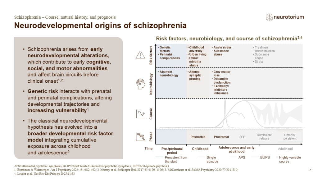 Slide on the neurodevelopmental origins of schizophrenia, linking early developmental risk factors to later illness progression