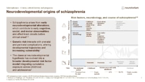 Slide on the neurodevelopmental origins of schizophrenia, linking early developmental risk factors to later illness progression
