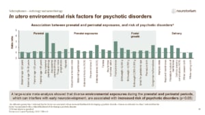 Slide showing prenatal and perinatal environmental risk factors associated with psychotic disorders.