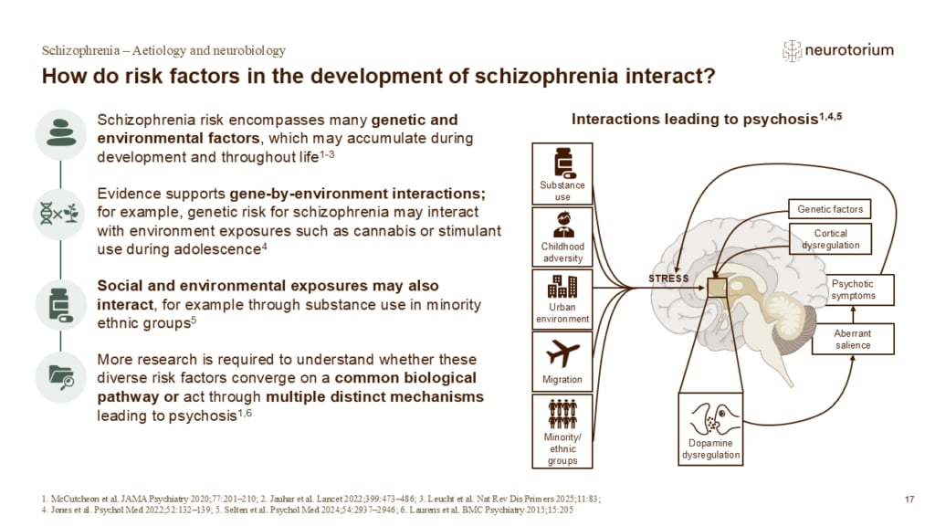 Slide illustrating how genetic and environmental risk factors may interact to contribute to schizophrenia and psychosis risk.
