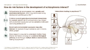 Slide illustrating how genetic and environmental risk factors may interact to contribute to schizophrenia and psychosis risk.