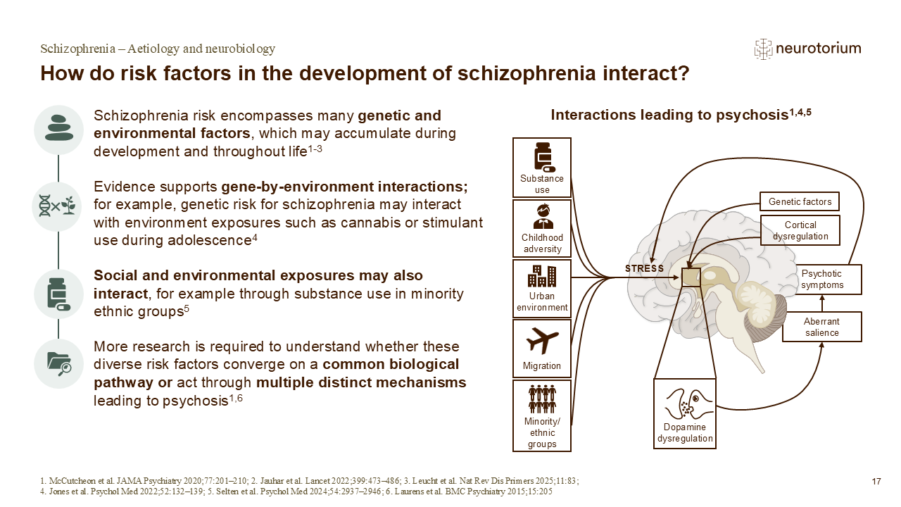 Slide illustrating how genetic and environmental risk factors may interact to contribute to schizophrenia and psychosis risk.