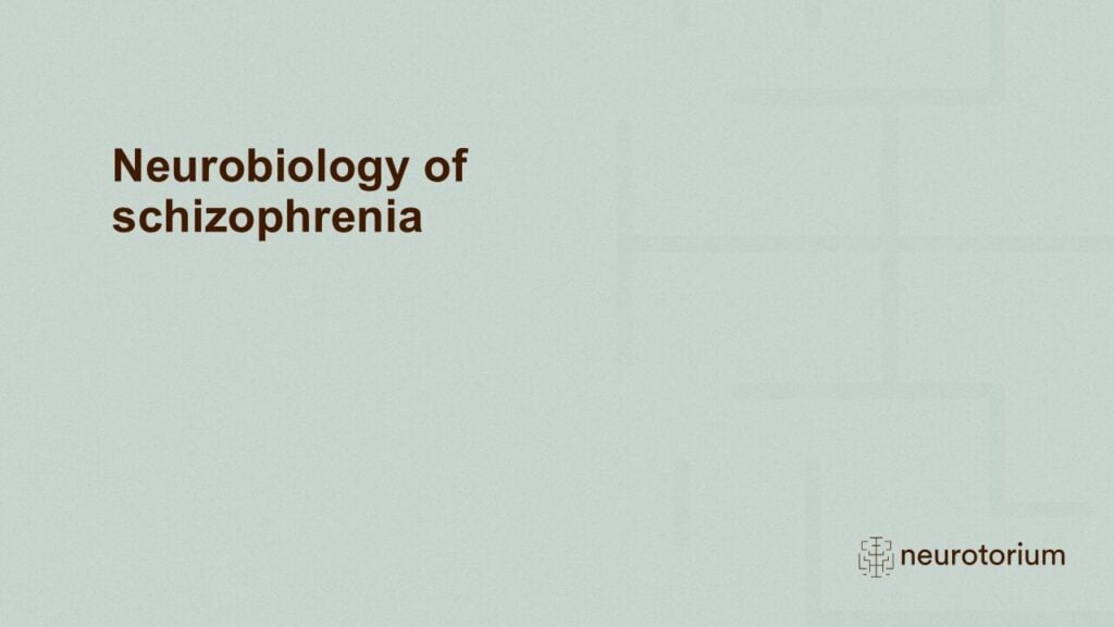 Slide introducing the Neurobiology of schizophrenia chapter