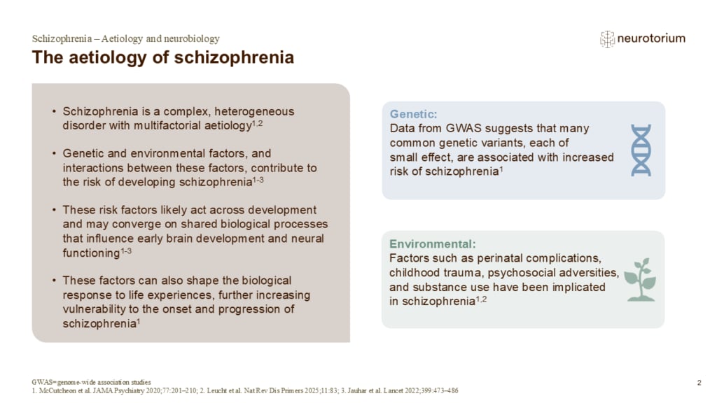 Slide showing the aetiology of schizophrenia