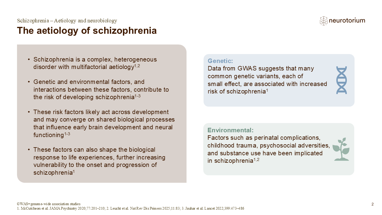 Slide showing the aetiology of schizophrenia