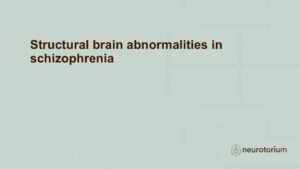 Slide introducing the Structural brain abnormalities in schizophrenia chapter