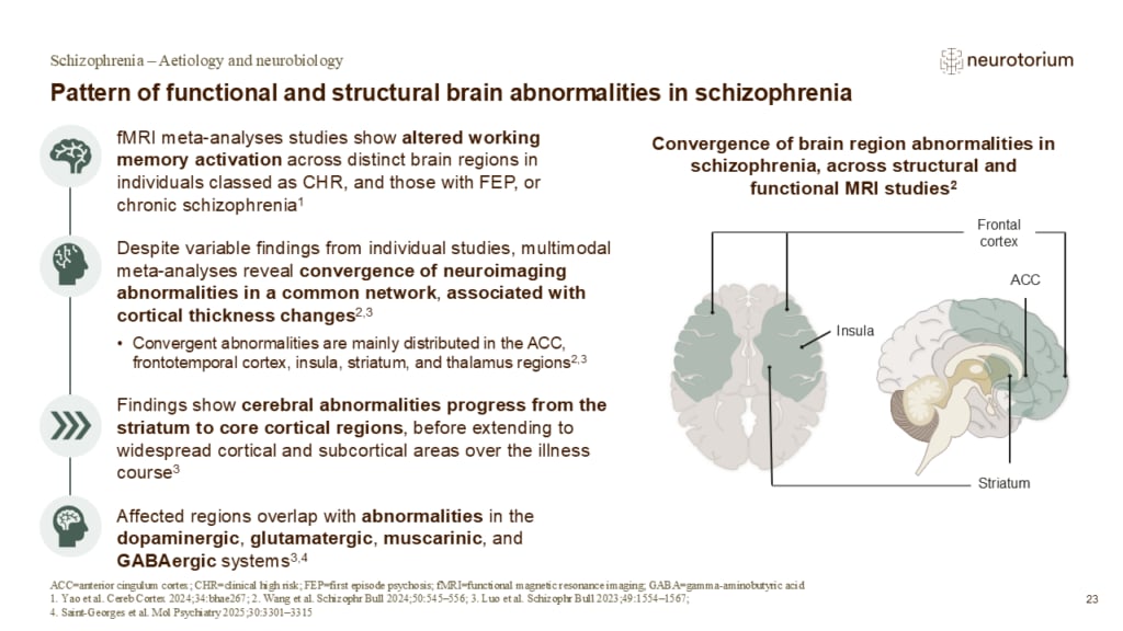 Slide showing converging structural and functional brain abnormalities in schizophrenia across frontal, cingulate, insular, and striatal regions.