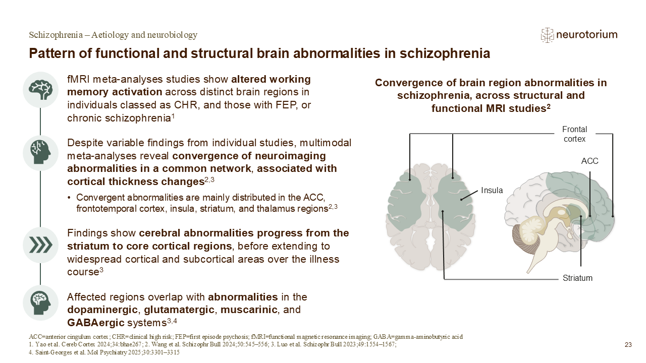 Slide showing converging structural and functional brain abnormalities in schizophrenia across frontal, cingulate, insular, and striatal regions.