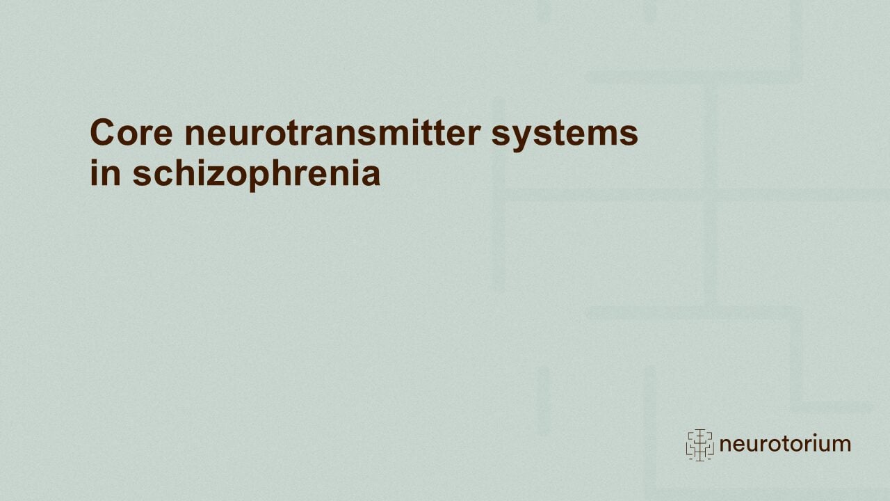 Slide introducing the Core neurotransmitter systems in schizophrenia chapter