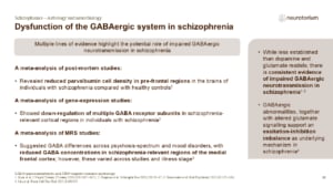 Slide summarizing evidence for GABAergic dysfunction in schizophrenia from post-mortem, gene-expression, and imaging studies.