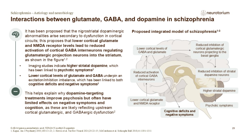 Slide illustrating a proposed model linking glutamate, GABA, and dopamine dysfunction in schizophrenia.