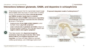 Slide illustrating a proposed model linking glutamate, GABA, and dopamine dysfunction in schizophrenia.