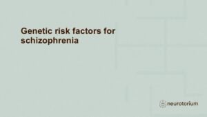 Slide introducing the chapter Genetic risk factors for schizophrenia