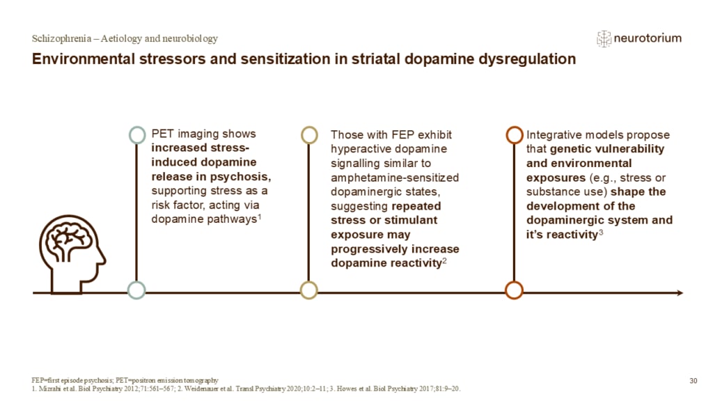 Slide showing how environmental stressors may contribute to dopamine dysregulation in schizophrenia.