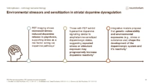 Slide showing how environmental stressors may contribute to dopamine dysregulation in schizophrenia.