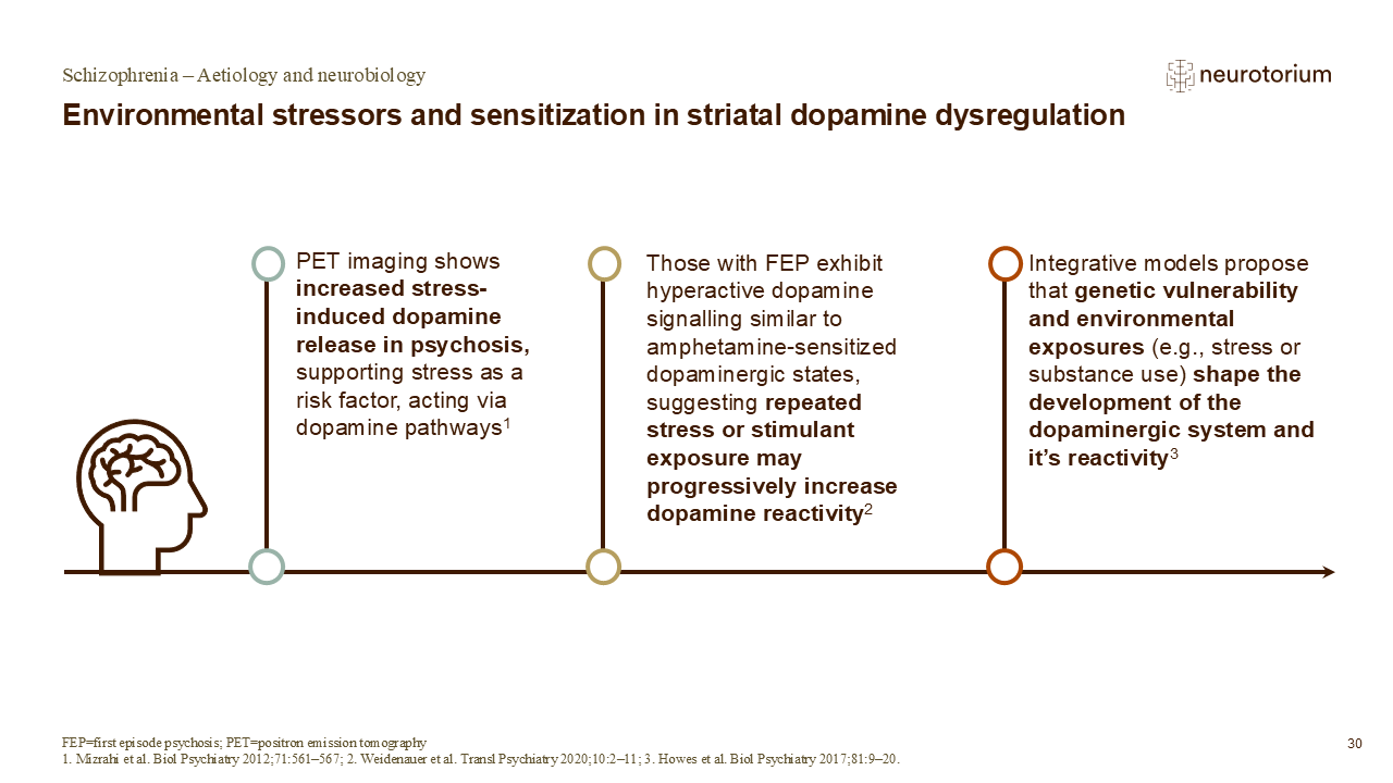 Slide showing how environmental stressors may contribute to dopamine dysregulation in schizophrenia.