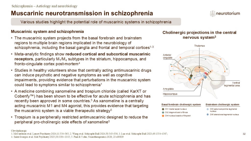 Slide showing evidence for muscarinic neurotransmission dysfunction in schizophrenia and cholinergic brain projections.