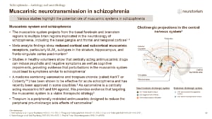Slide showing evidence for muscarinic neurotransmission dysfunction in schizophrenia and cholinergic brain projections.