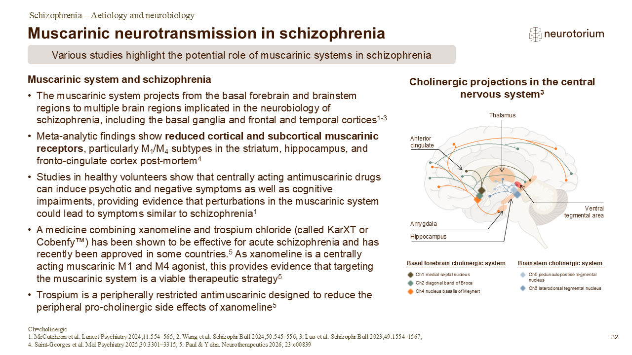 Slide showing evidence for muscarinic neurotransmission dysfunction in schizophrenia and cholinergic brain projections.