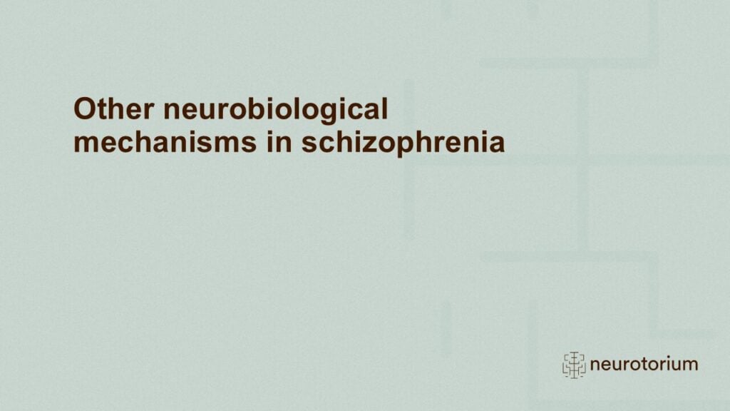 Slide introducing the Other neurobiological mechanisms in schizophrenia chapter