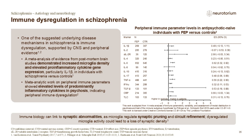 Slide showing evidence for immune dysregulation in schizophrenia, including increased inflammatory markers and microglial activity.