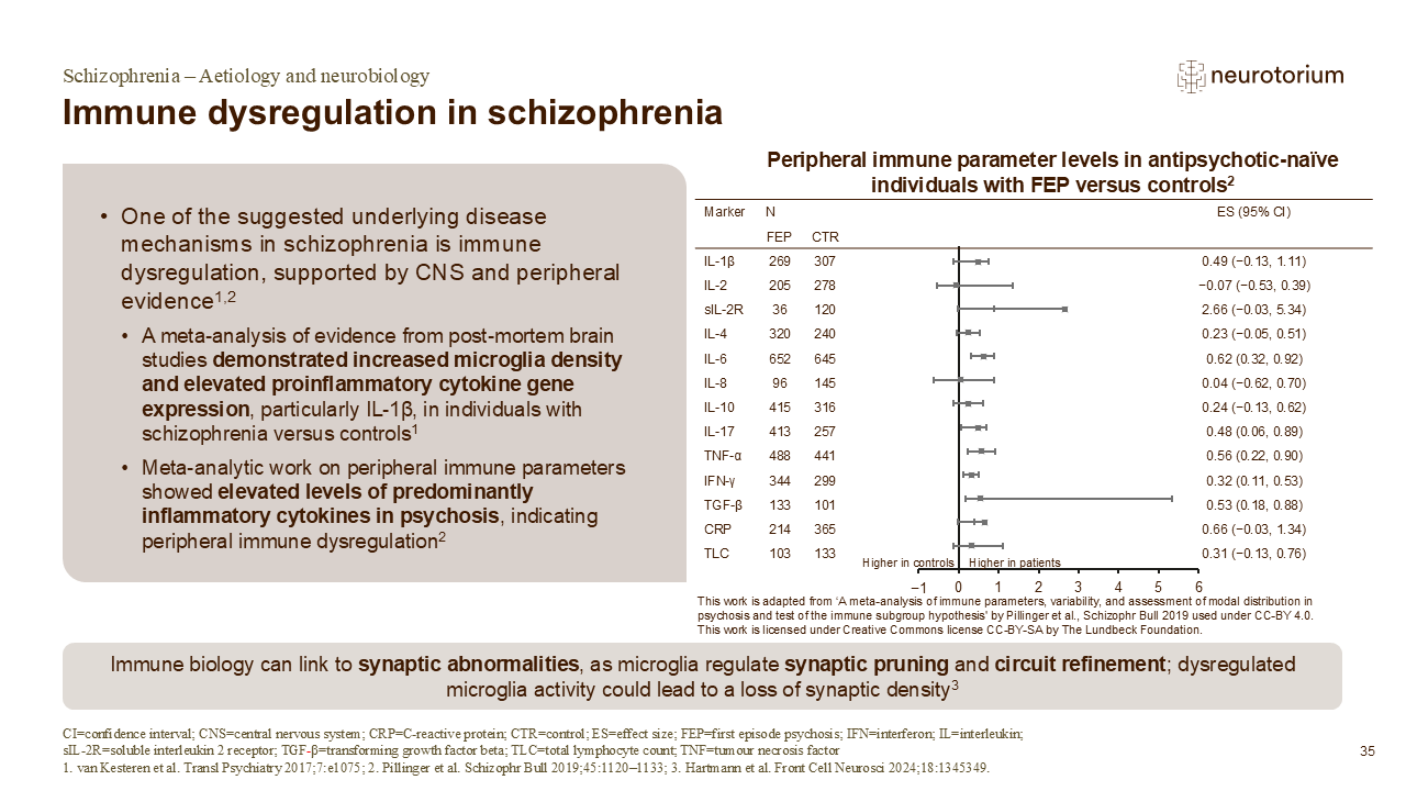 Slide showing evidence for immune dysregulation in schizophrenia, including increased inflammatory markers and microglial activity.