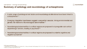 Slide summarizing key genetic, environmental, and neurobiological factors implicated in schizophrenia.