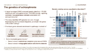 Slide showing the genetics of schizophrenia