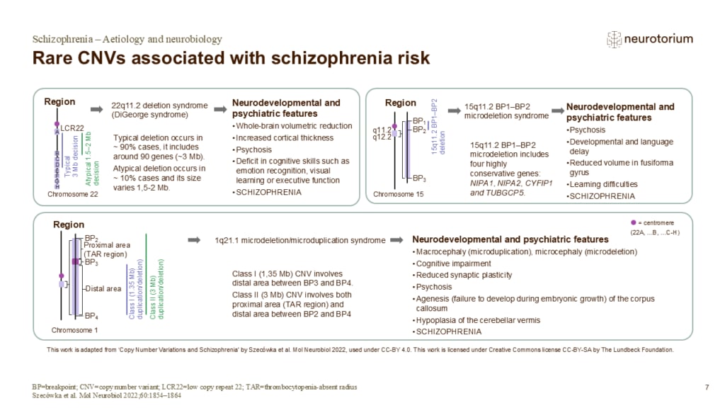 Slide showing rare CNVs associated with schizophrenia risk