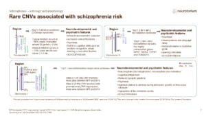 Slide showing rare CNVs associated with schizophrenia risk