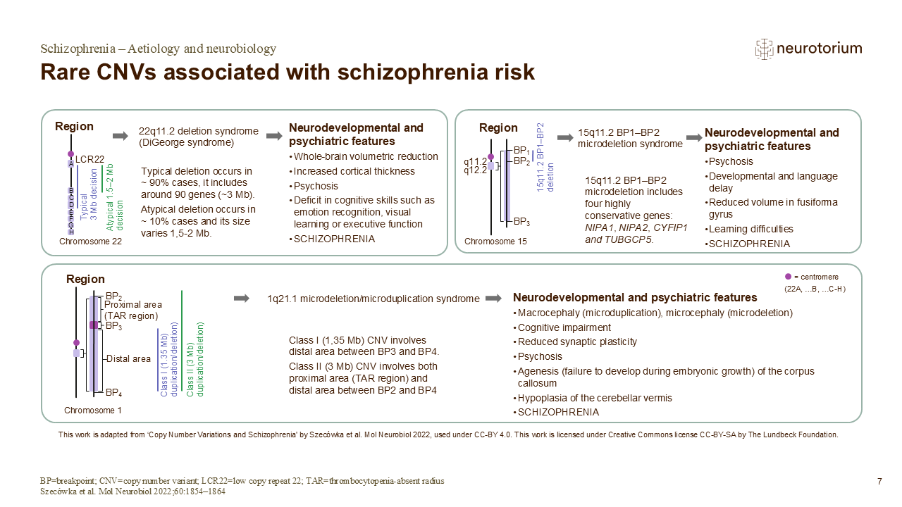 Slide showing rare CNVs associated with schizophrenia risk