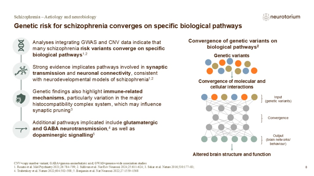 Slide showing convergence of schizophrenia risk variants on shared biological pathways.