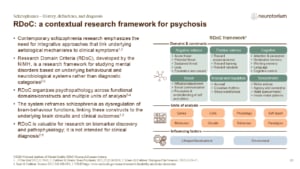 RDoC: a contextual research framework for psychosis