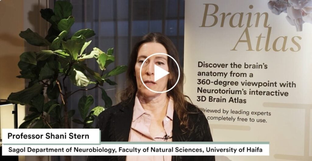 Exploring the Potential of Stem Cell Exosomes for the Treatment of Brain Diseases