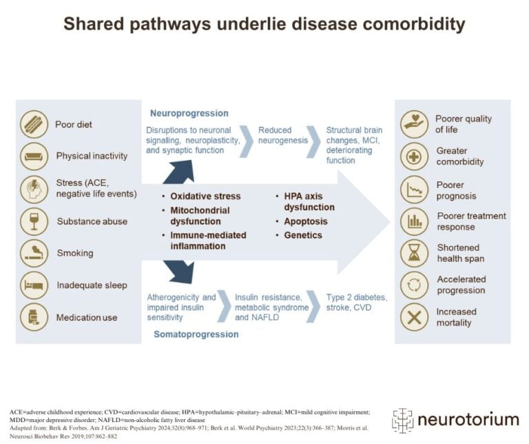 Infographic showing how poor lifestyle factors and biological mechanisms like oxidative stress and inflammation contribute to neuroprogression and somatoprogression, increasing the risk of chronic diseases and mental health decline.