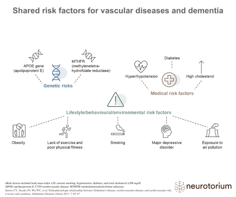 Shared risk factors for vascular diseases and dementia