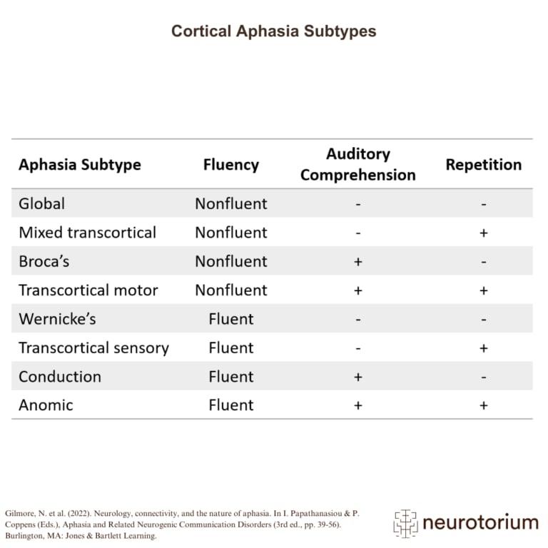 Diagram on Cortical aphasia subtypes